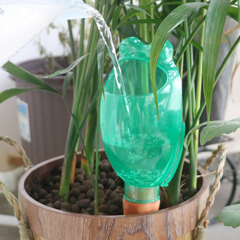 self watering frog planter 🐸Large Frog-Shaped Automatic Drip Irrigator – Htezo