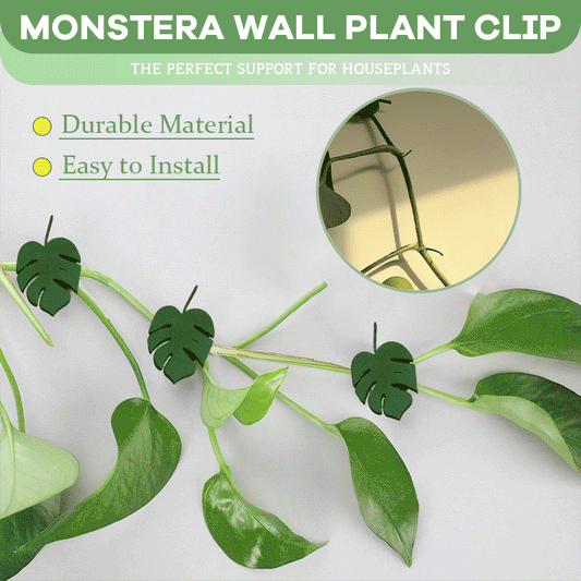 Monstera Wall Plant Clip