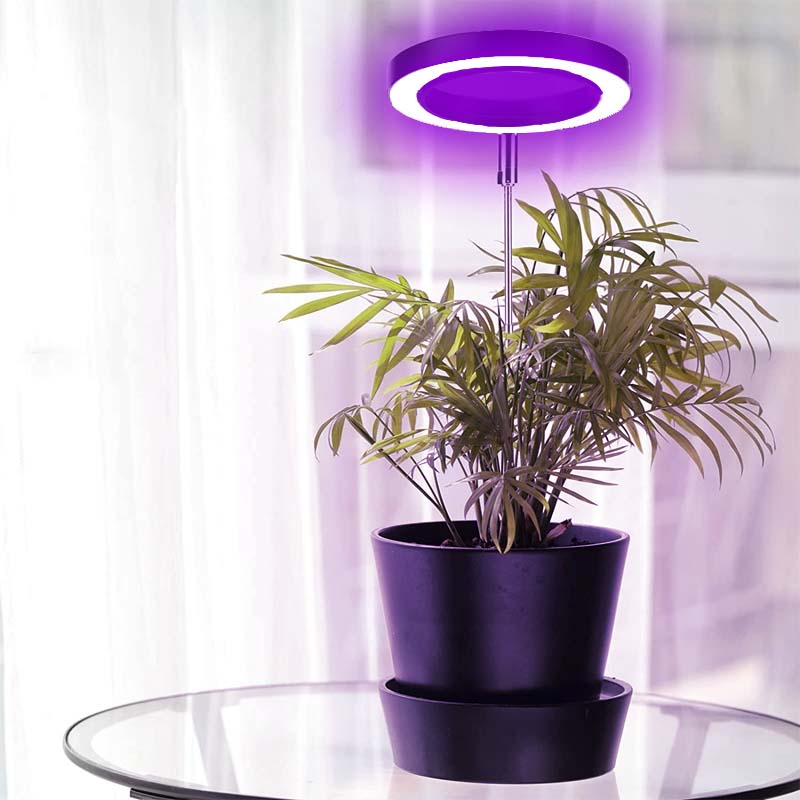 Telescopic Plant Grow Light