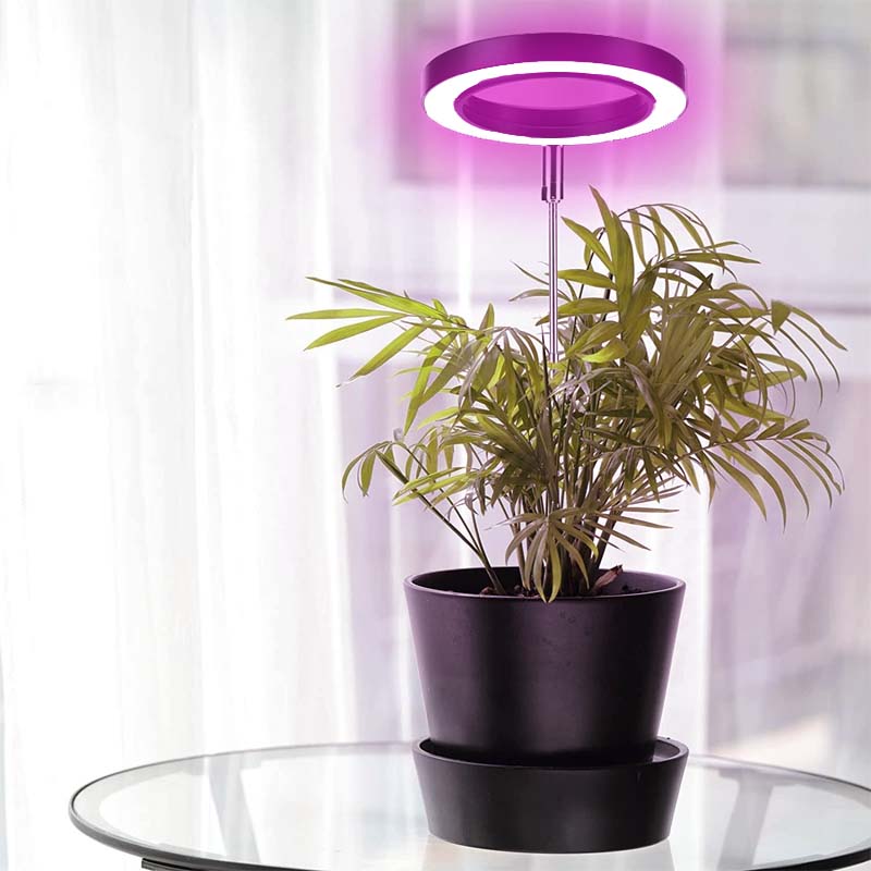 Telescopic Plant Grow Light