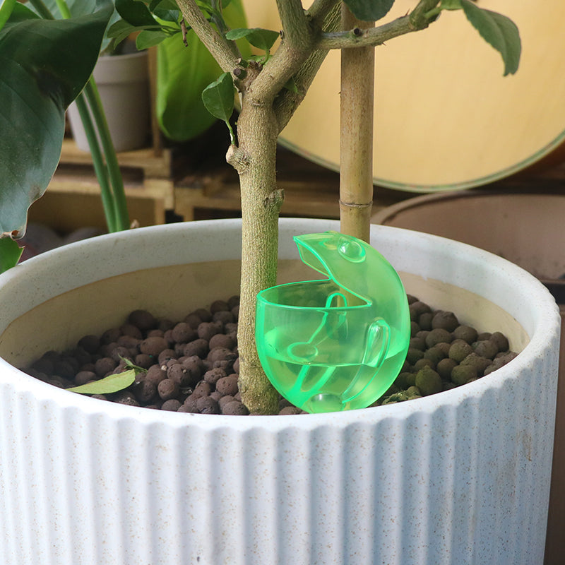 🐸Small Frog-Shaped Automatic Drip Irrigator