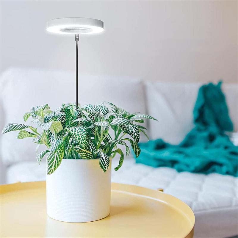 Telescopic Plant Grow Light