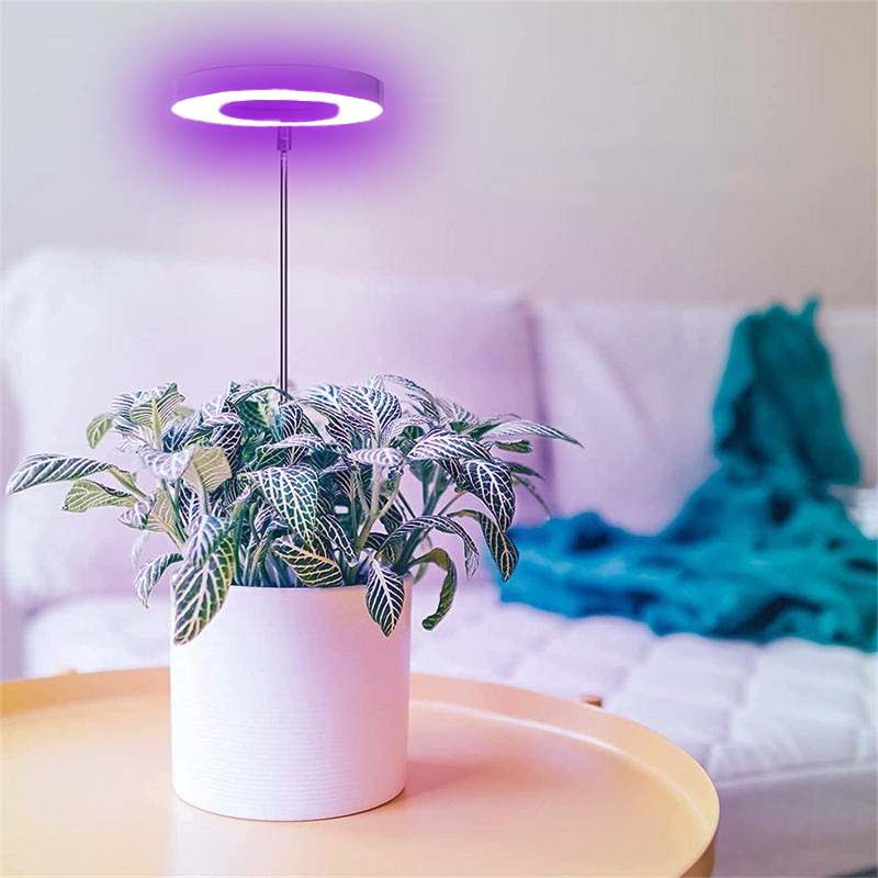 Telescopic Plant Grow Light