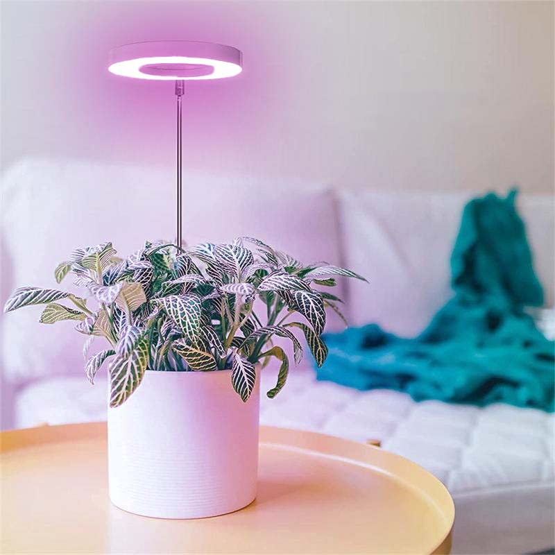 Telescopic Plant Grow Light