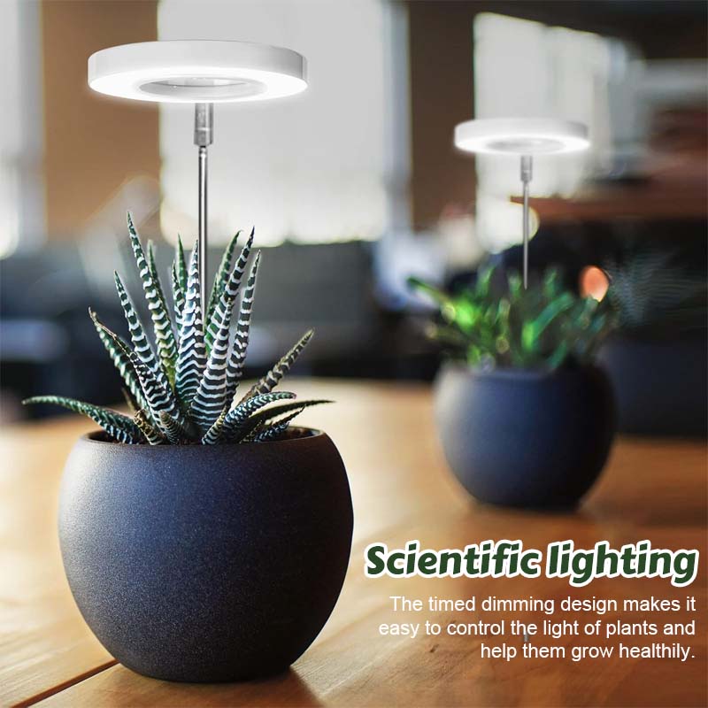Telescopic Plant Grow Light