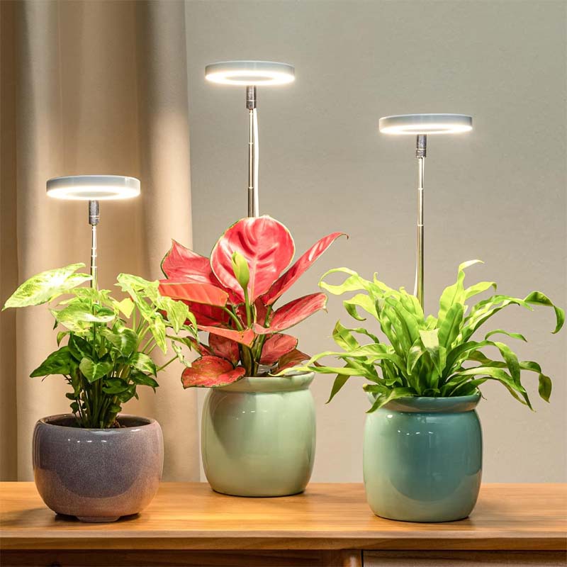 Telescopic Plant Grow Light