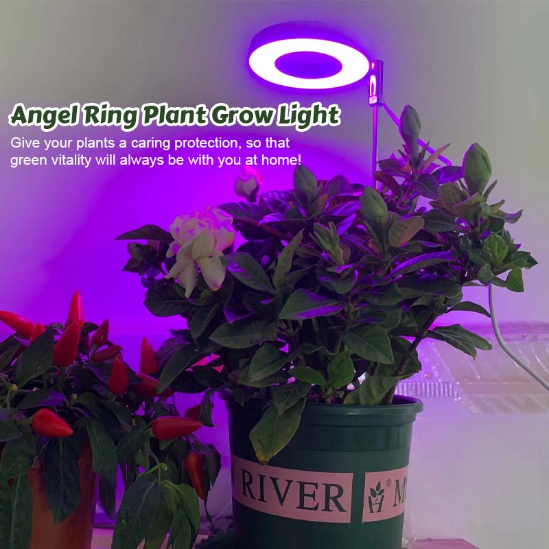 Telescopic Plant Grow Light
